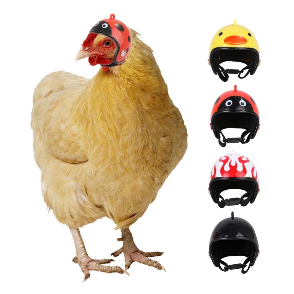 Pet X Supplies & Tack - ABS Pet Supplies Zabawne Ochraniacze na