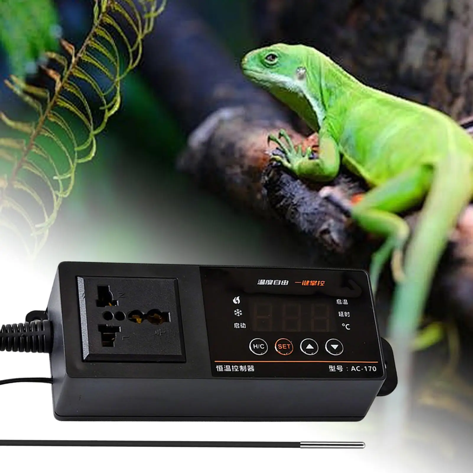 Termostat do terrarium dla gad – Pet Supplies Uk recenzja i cena