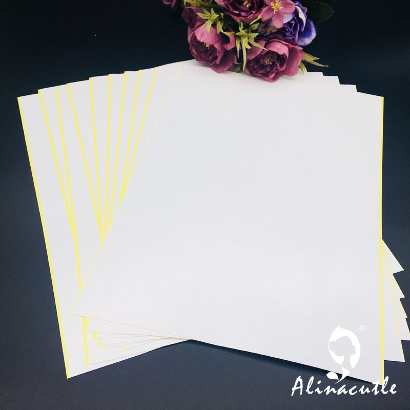 10PC X A4 taśma dwustronna moc – Pet X Supplies & Tack recenzja i cena