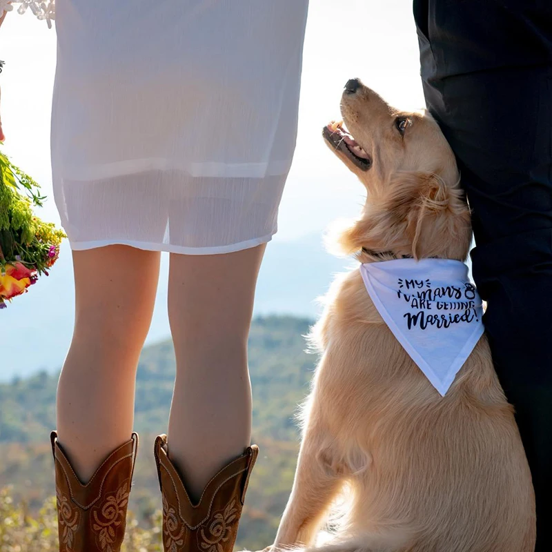 Moi ludzie biorą ślub chustka  – Dog Bandana Scarf recenzja i cena