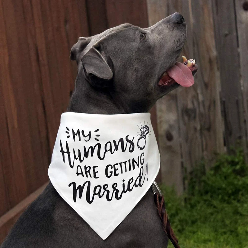 Moi ludzie biorą ślub chustka  – Dog Bandana Scarf recenzja i cena