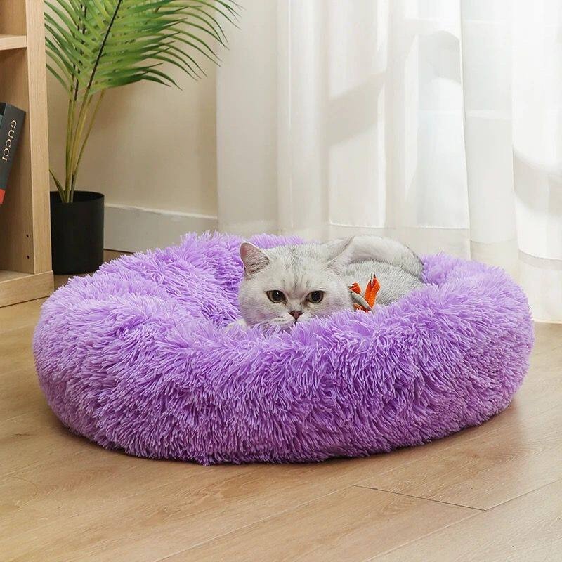 Puszysta, nowoczesna legowisko – Pet Supplies Australia recenzja i cena