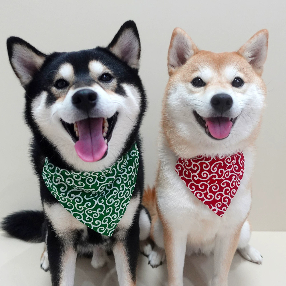 Akcesoria dla psów NOWOŚĆ Band – Dog Bandana Scarf recenzja i cena