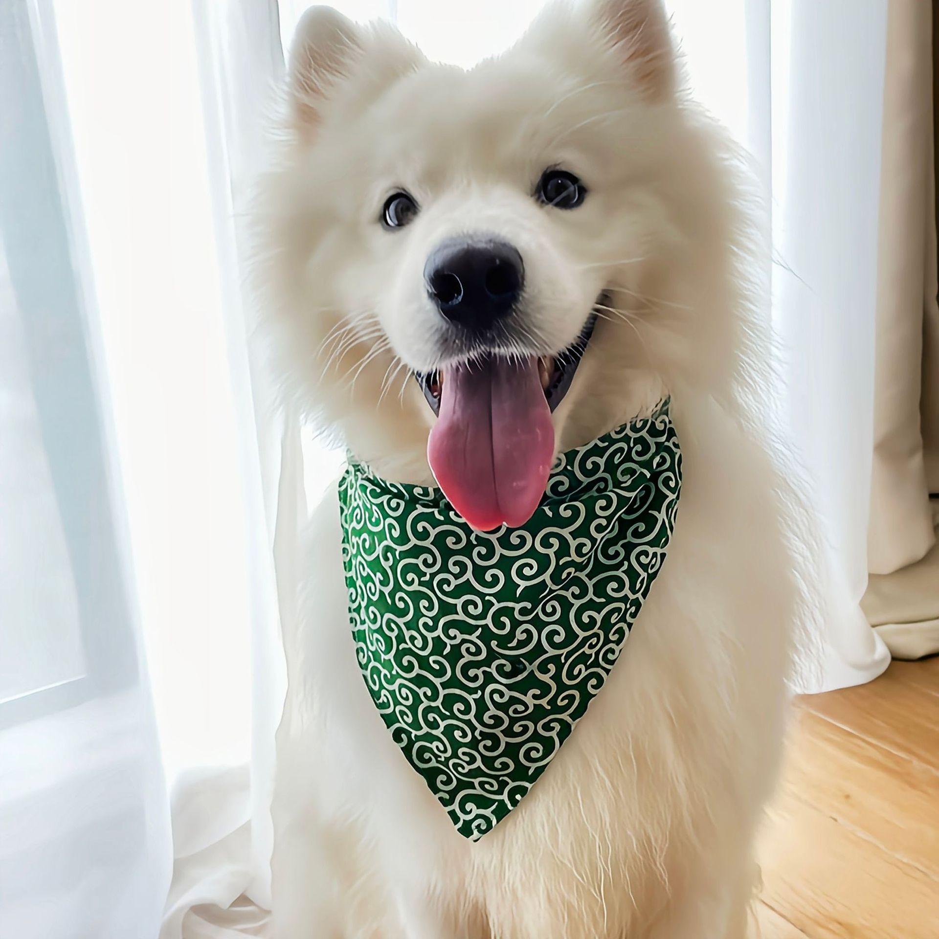 Akcesoria dla psów NOWOŚĆ Band – Dog Bandana Scarf recenzja i cena